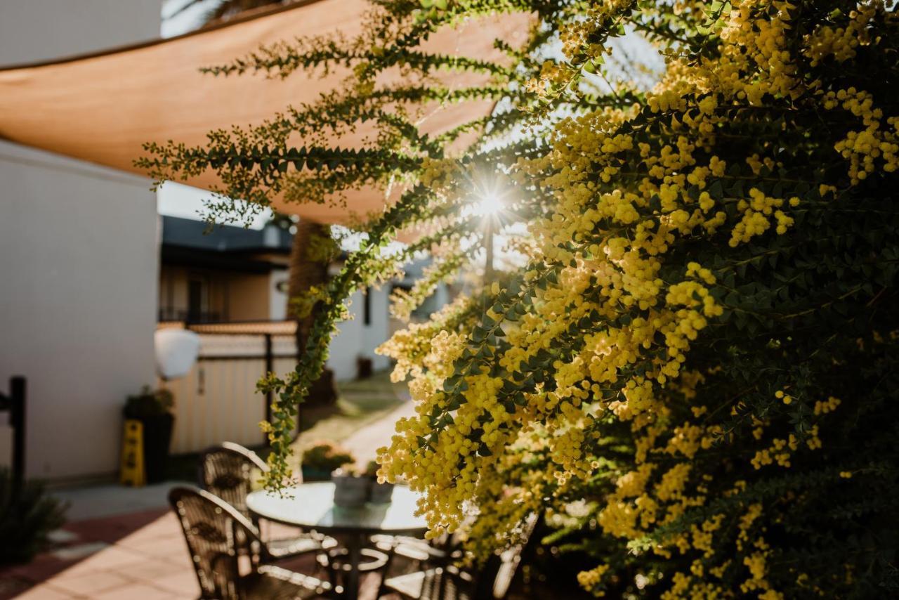 Inverell Terrace Motor Lodge Dış mekan fotoğraf